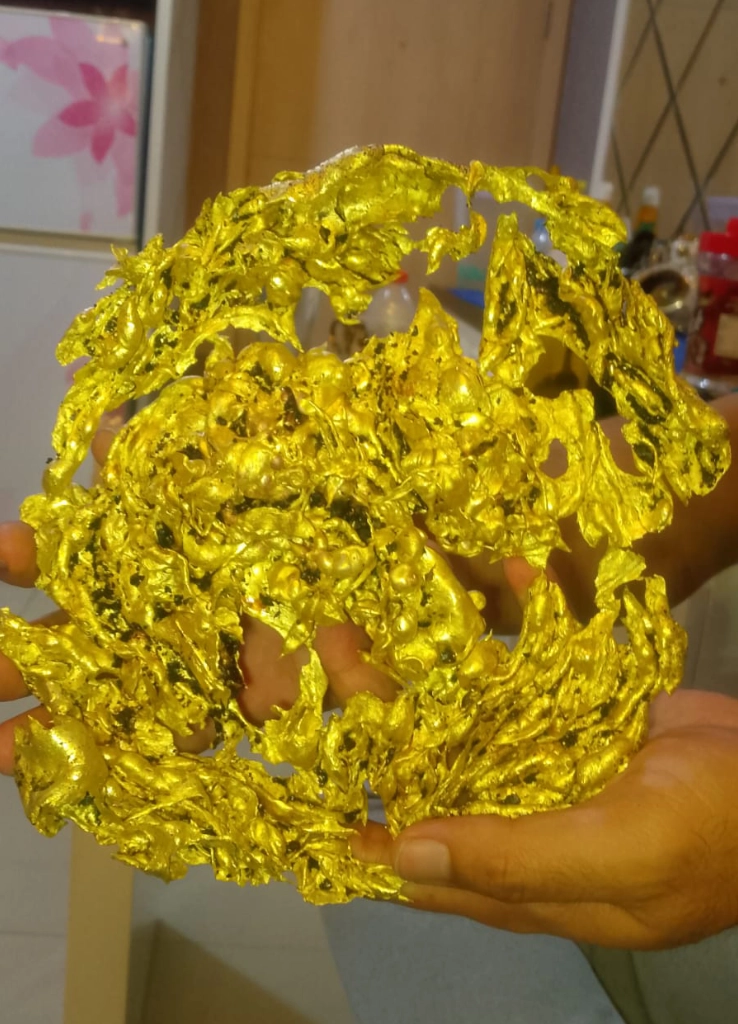 Dragon Gold Papua 12
