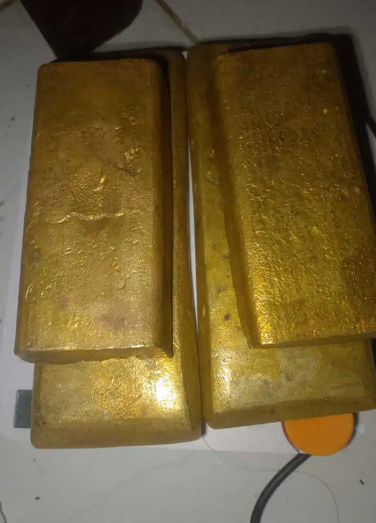 Dragon Gold Papua 34